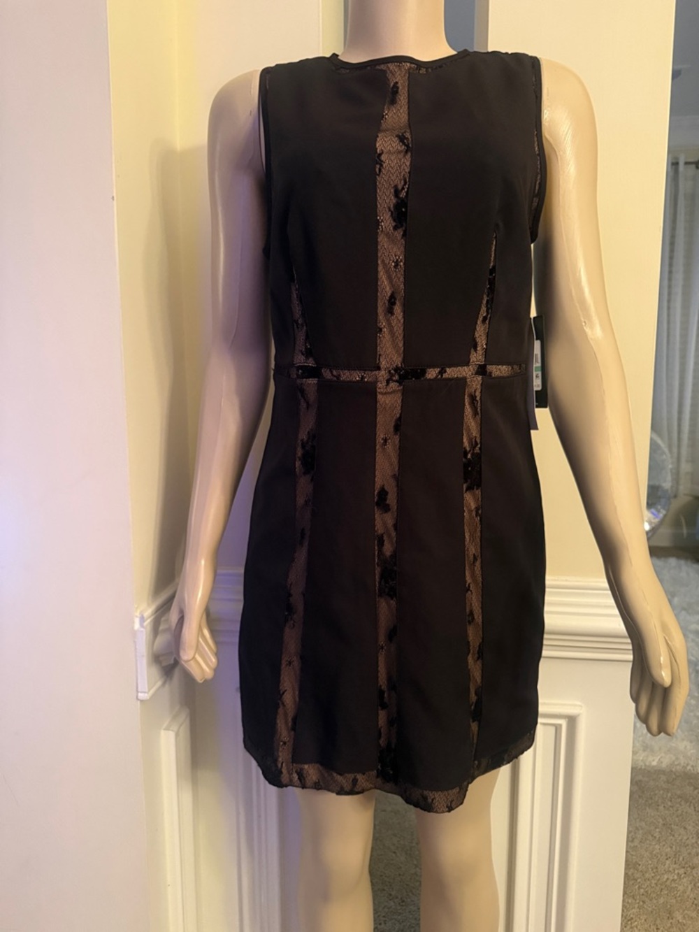 BCBG Black Sleeveless Lace-Trim Mini Dress